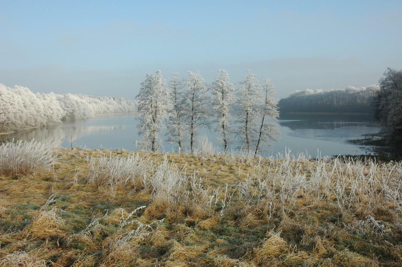 U Przyjaciol Soni Villa Mecidol Esterno foto