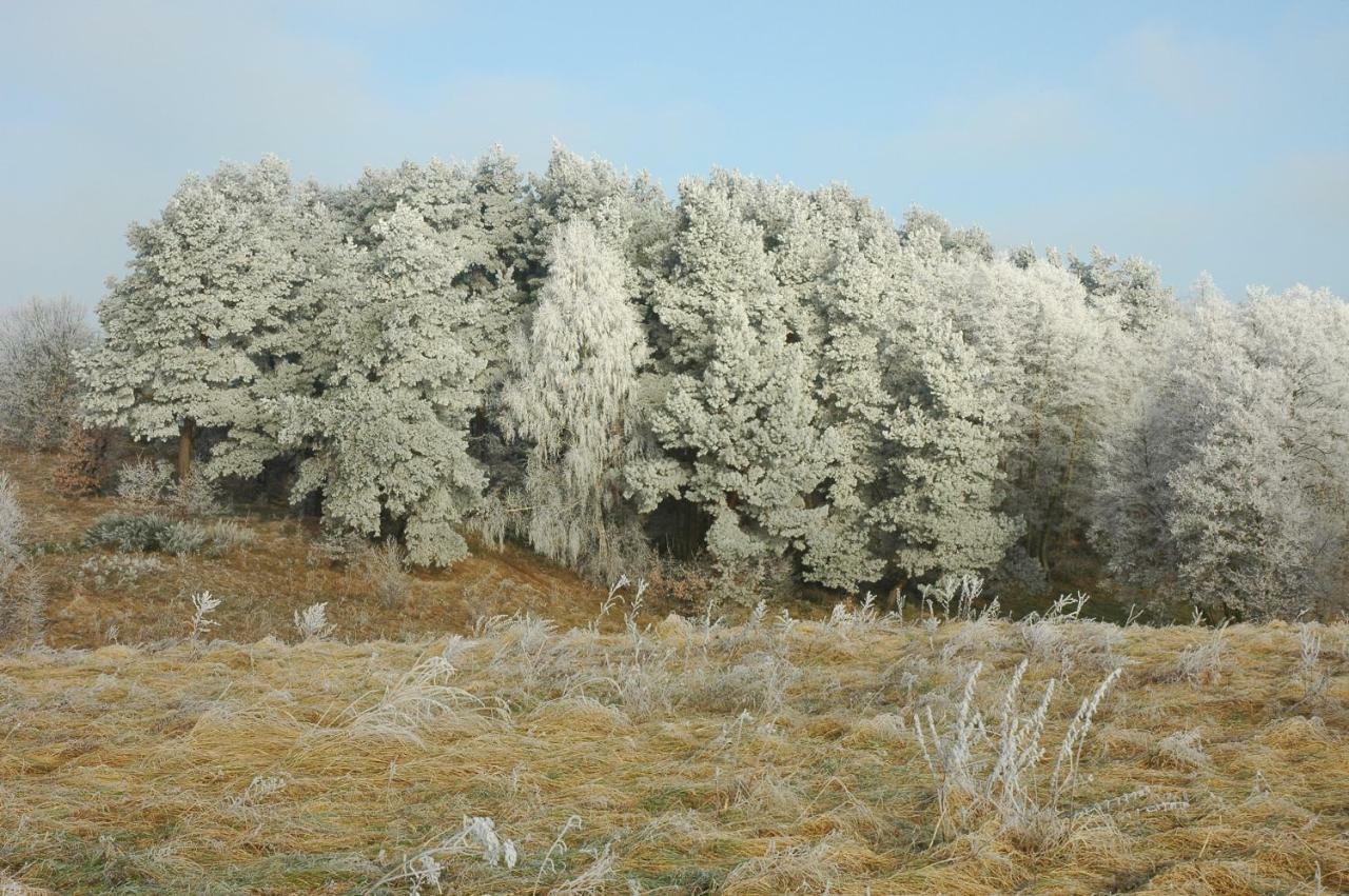 U Przyjaciol Soni Villa Mecidol Esterno foto