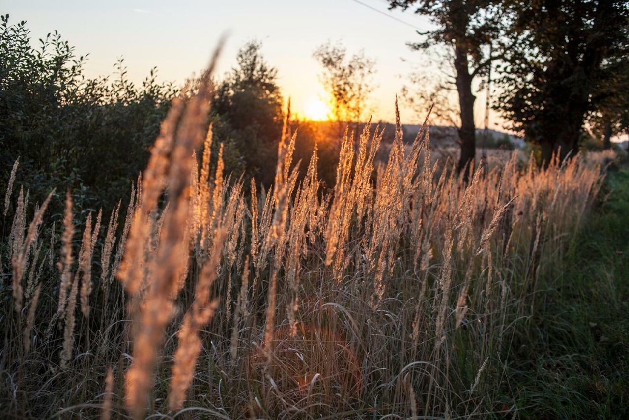 U Przyjaciol Soni Villa Mecidol Esterno foto