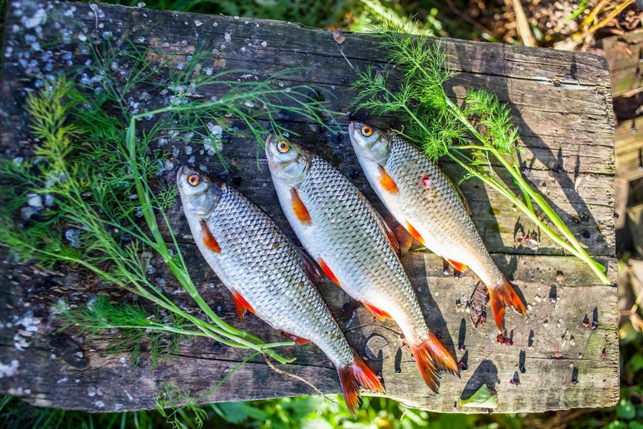 U Przyjaciol Soni Villa Mecidol Esterno foto