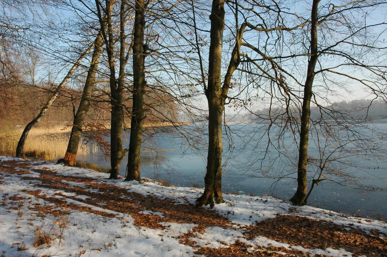 U Przyjaciol Soni Villa Mecidol Esterno foto