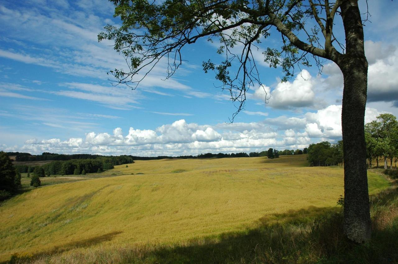 U Przyjaciol Soni Villa Mecidol Esterno foto