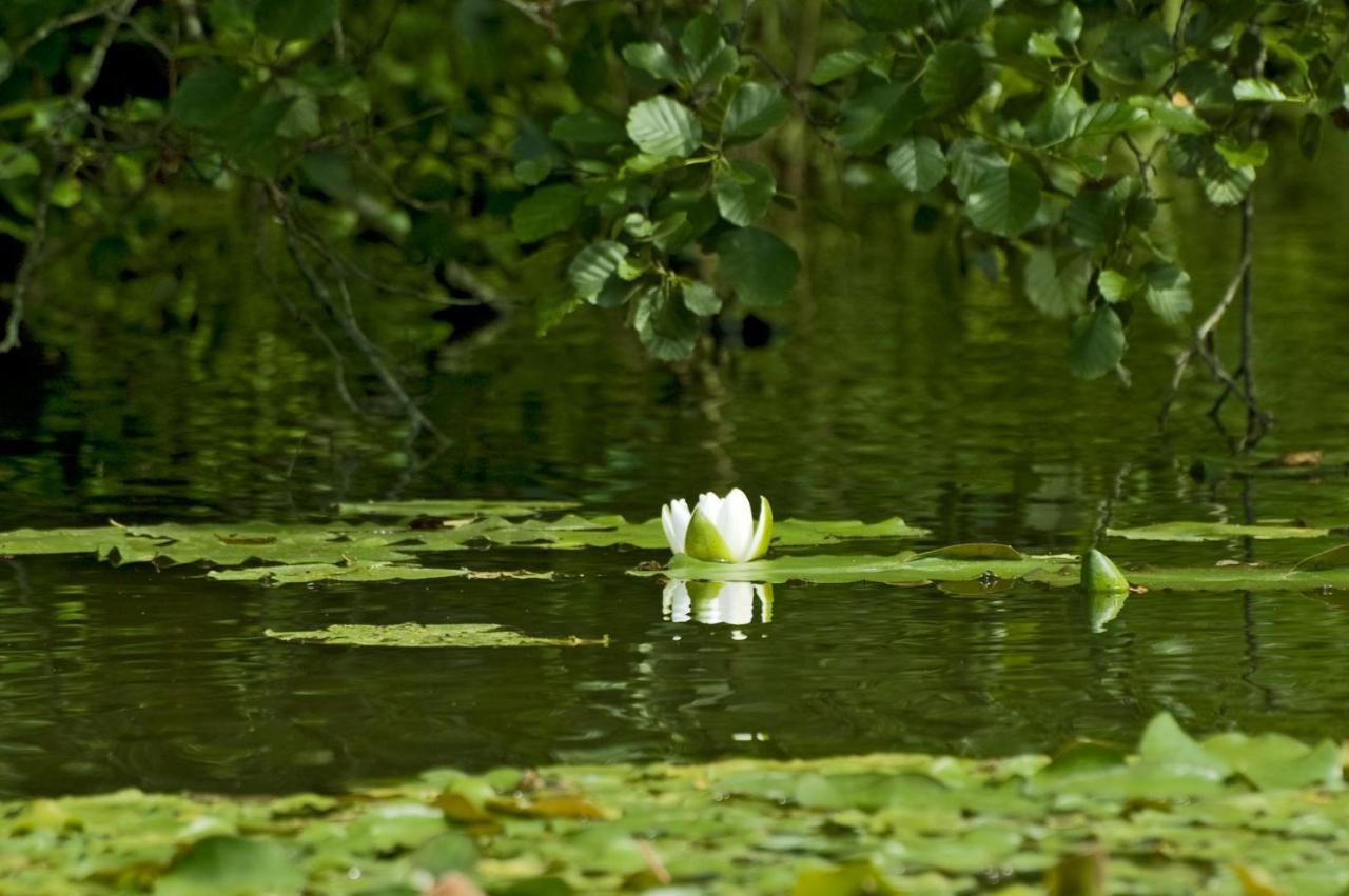 U Przyjaciol Soni Villa Mecidol Esterno foto