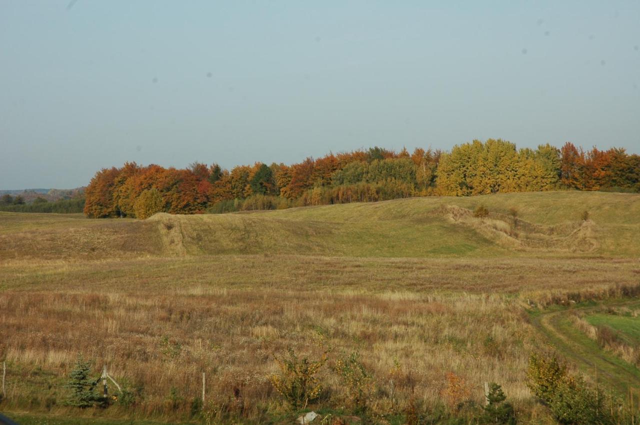 U Przyjaciol Soni Villa Mecidol Esterno foto