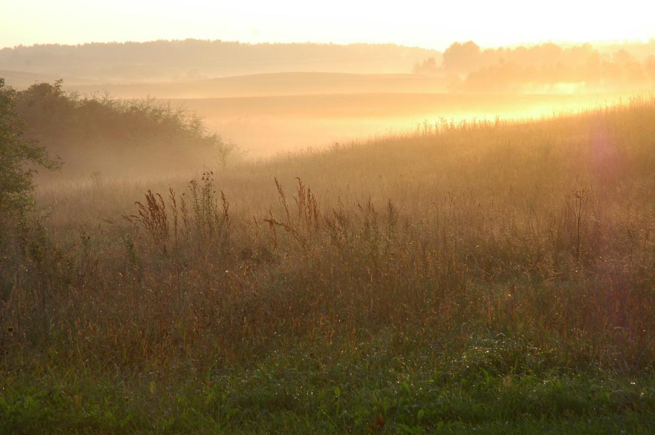 U Przyjaciol Soni Villa Mecidol Esterno foto