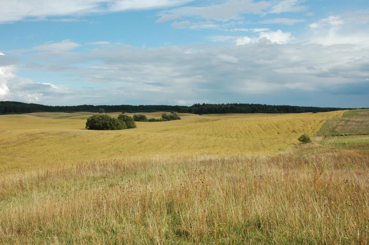 U Przyjaciol Soni Villa Mecidol Esterno foto