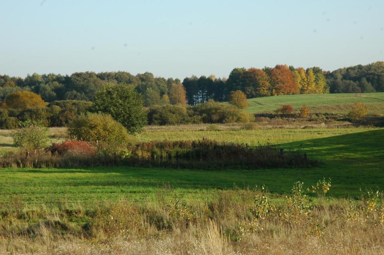 U Przyjaciol Soni Villa Mecidol Esterno foto