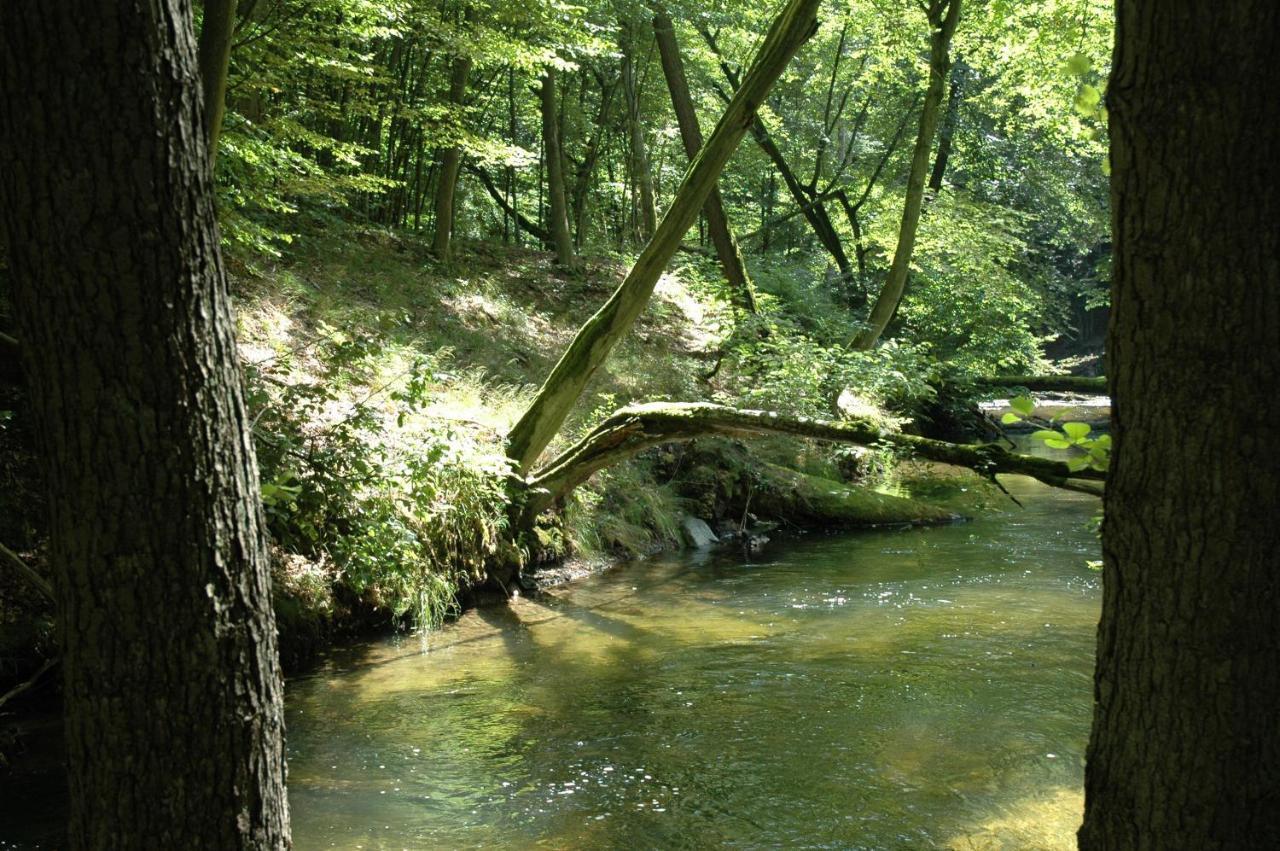 U Przyjaciol Soni Villa Mecidol Esterno foto